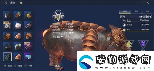 妄想山海寵物大全