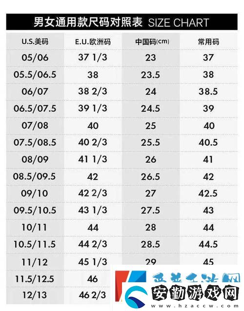 歐亞尺碼專線免費(fèi)2024