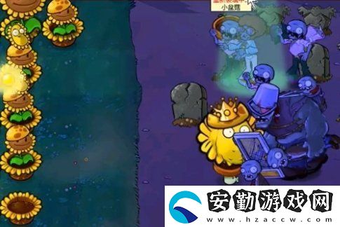 植物大戰(zhàn)僵尸雜交版第60關怎么打