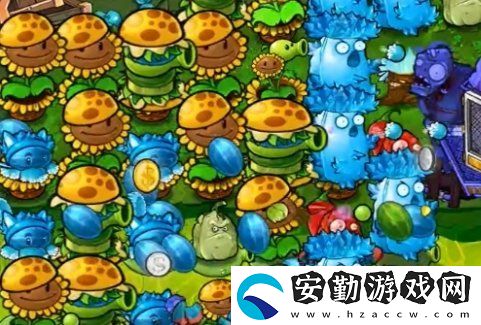 植物大戰(zhàn)僵尸雜交版冒險64關(guān)怎么放置植物