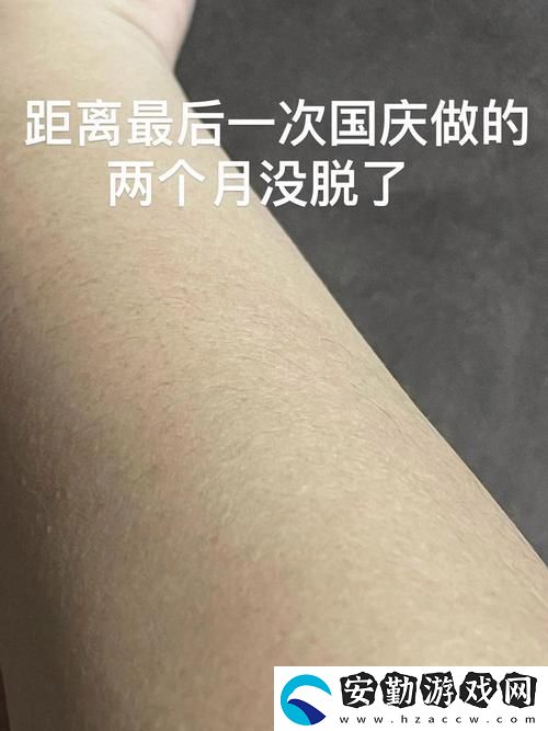 AAAA級毛和AAAA的區(qū)別