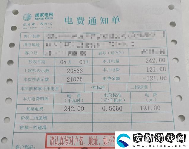 駕馭未來(lái)的電力選擇