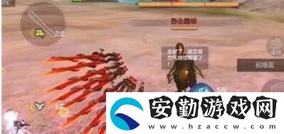 妄想山海野生雞在哪里