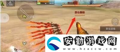 妄想山海野生雞在哪里
