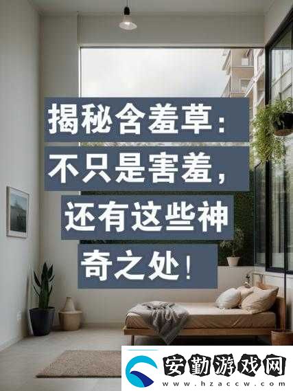 含羞草實(shí)驗(yàn)視秀恩愛