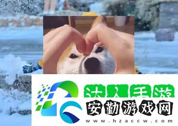 南方沙糖桔是什么梗網(wǎng)絡(luò)用語