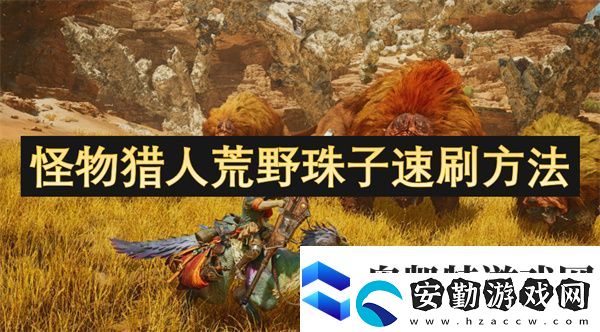 怪物獵人荒野珠子速刷方法