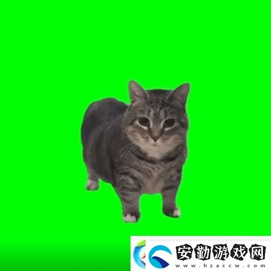 貓貓的奇幻漂流導演應中國粉絲要求