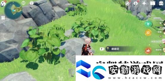 危危島幻境海螺在哪