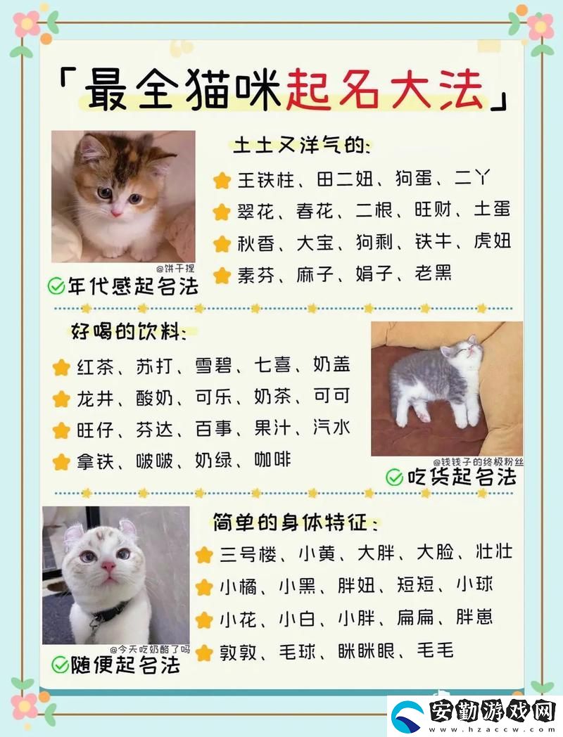 貓咪名3336pt3