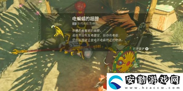 塞爾達(dá)傳說(shuō)王國(guó)之淚電蝙蝠的翅膀獲取攻略