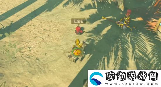 塞爾達(dá)傳說(shuō)王國(guó)之淚電蝙蝠的翅膀獲取攻略