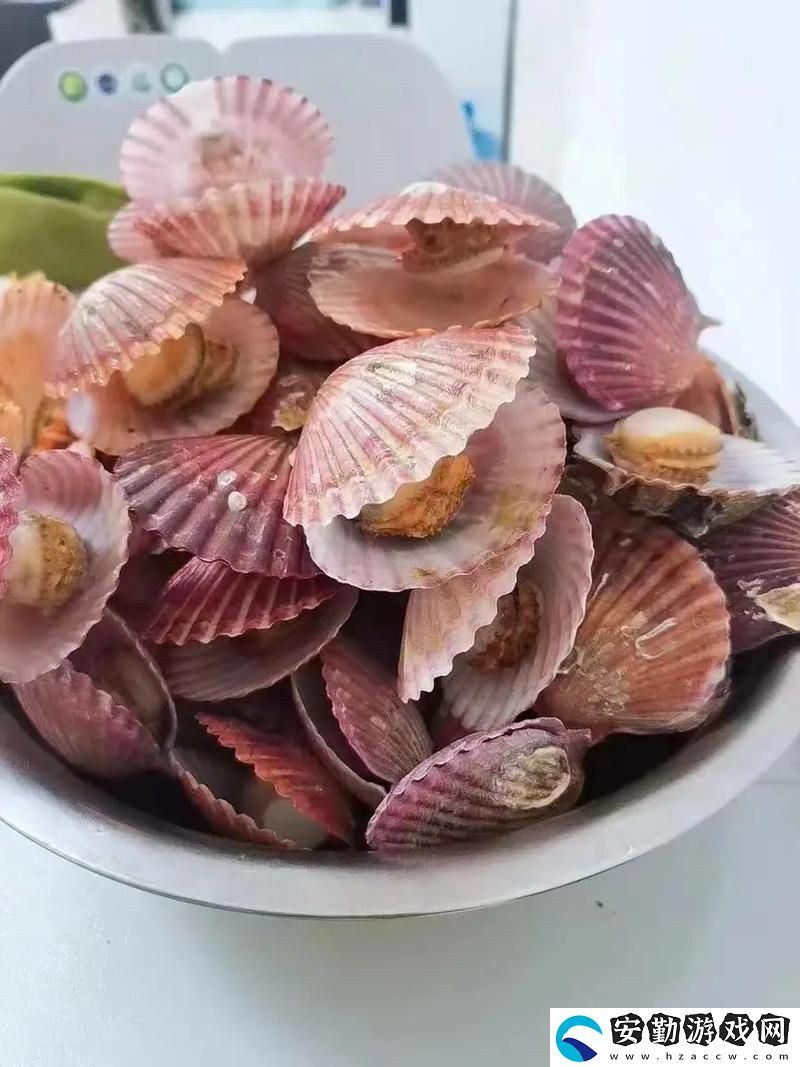 小東西你的扇貝都開張了