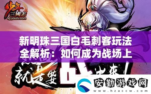 新明珠三國白毛刺客玩法全解析