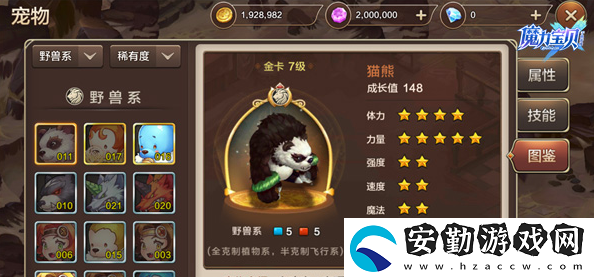 魔力寶貝如何判斷寵物的好壞