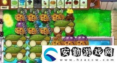 植物大戰(zhàn)僵尸無(wú)盡模式最佳陣容怎么搭配