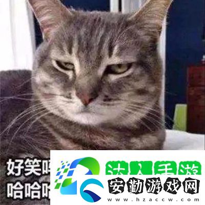 參見老婆表情包