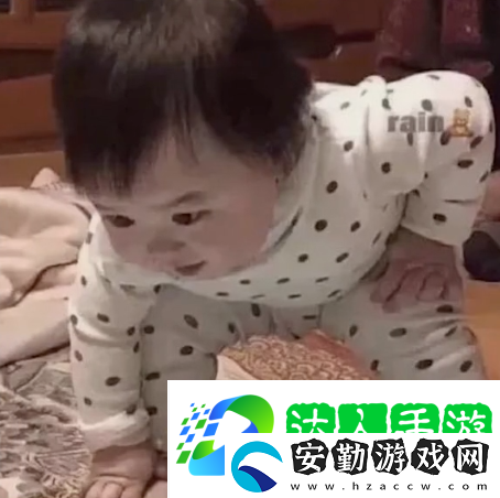 參見老婆表情包