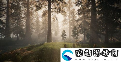 黑光生存進化首測資格不限量放送