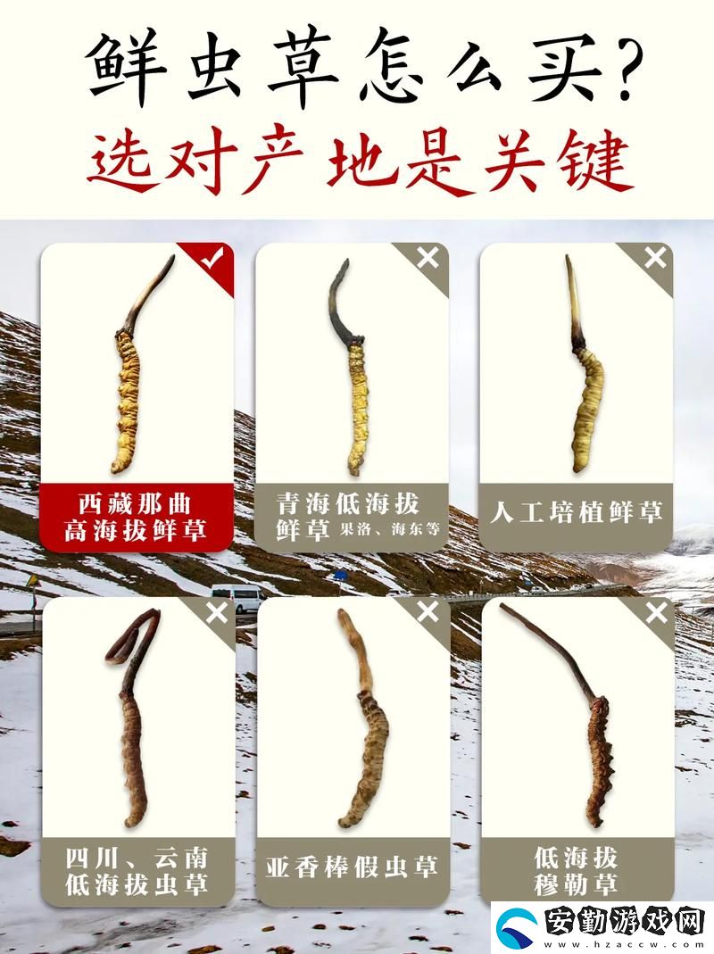 嫩草精產一二三產區(qū)