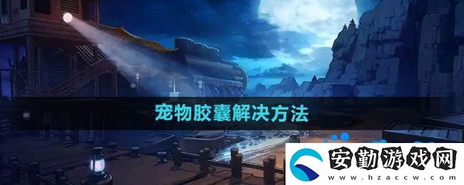 dnf寵物封印膠囊怎么用不了