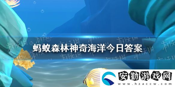 烏賊有幾條腕足
