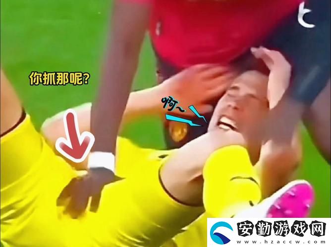 兩個球球抖動視頻抓球球