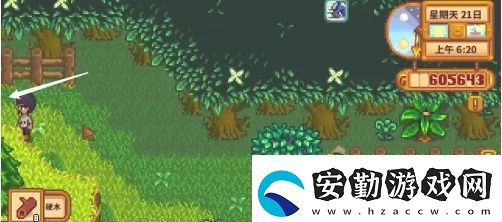星露谷物語(yǔ)蕨菜怎么獲取