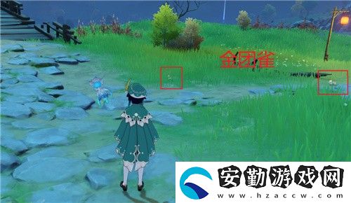 原神金團(tuán)雀在什么地方