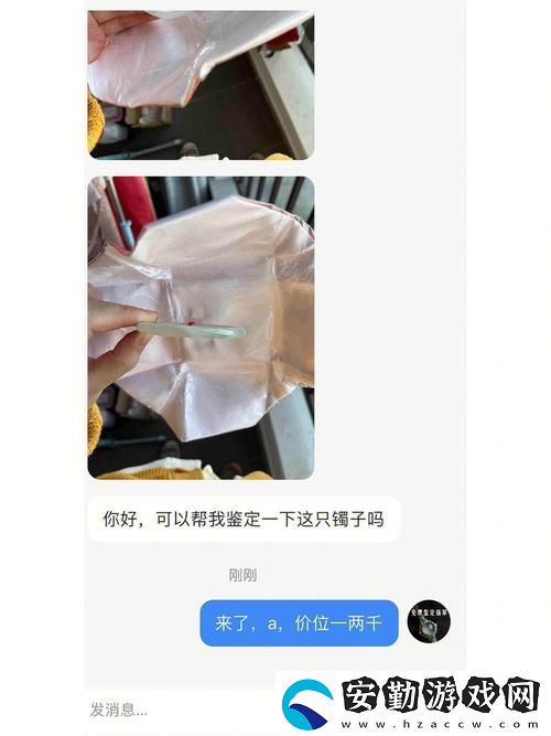 鑒定師免費看片視頻軟件