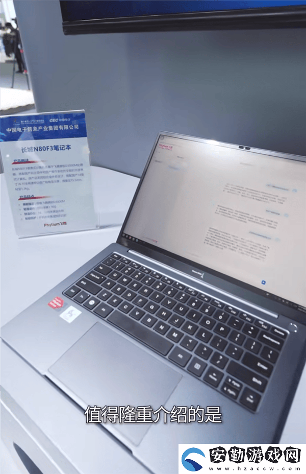 飛騰D3000M筆記本CPU亮相數字中國峰會