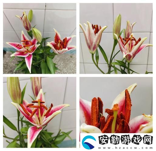 幼枝嫩蕊(1