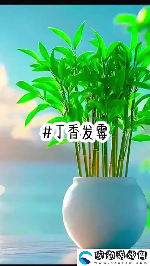 亭亭玉月丁香